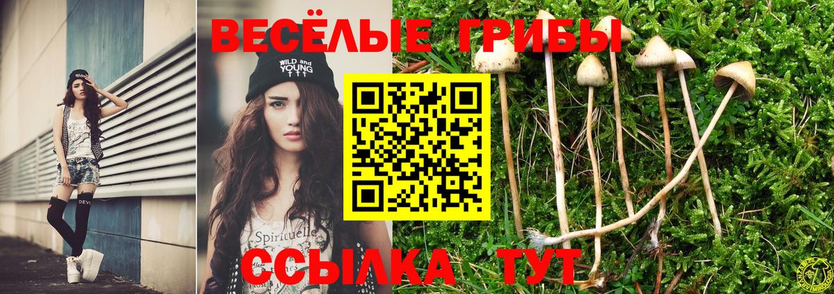 Псилоцибиновые грибы Magic Shrooms Тара