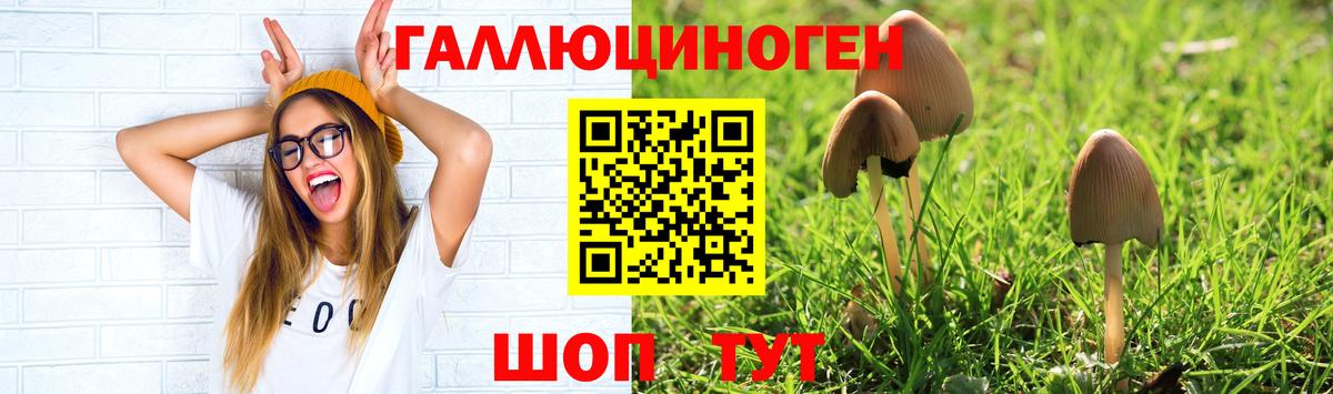 Тара  купить закладку  Вход с VPN  Псилоцибиновые грибы мухоморы 