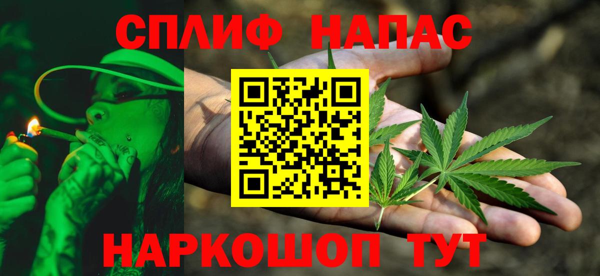 Шишки марихуана конопля  Бошки марихуана Bruce Banner  Тара  Вход с VPN  Бошки марихуана Bruce Banner 